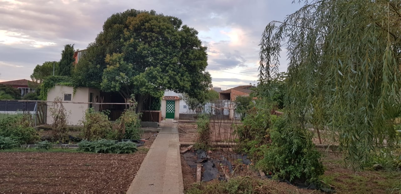 Habitatge cooperatiu